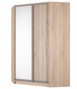 Угловой шкаф Аларти (YA-230х1400(602) (4) Вар. 3; двери D5+D6), с зеркалом в Магадане