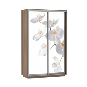 Шкаф двухдверный Е1 Экспресс 1400x600x2400, Орхидея белая/шимо темный в Магадане