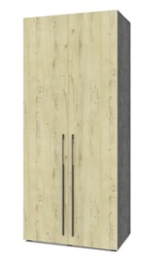 Шкаф двухдверный Modern С21, Камень темный/Ирландский дуб в Магадане