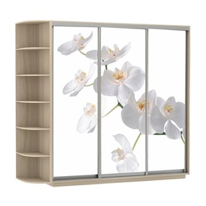 Шкаф 3-дверный Е1 Экспресс со стеллажом, 2100х600х2200, Орхидея белая/шимо светлый в Магадане