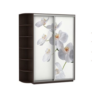 Шкаф 2-дверный Е1 Экспресс 1900x600x2200, со стеллажом, Орхидея белая/венге в Магадане