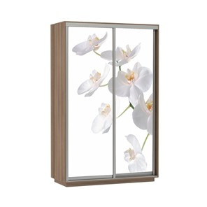 Шкаф двухдверный Е1 Экспресс 1600x600x2400, Орхидея белая/шимо темный в Магадане