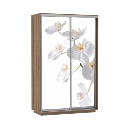 Шкаф двухдверный Экспресс 1600x600x2400, Орхидея белая/шимо темный в Магадане - изображение