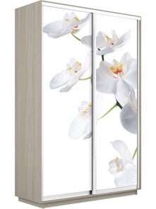 Шкаф 2-створчатый Экспресс 1200x600x2200, Орхидея белая/шимо светлый в Магадане
