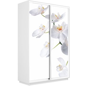 Шкаф 2-створчатый Экспресс 1600x450x2400, Орхидея белая/белый снег в Магадане