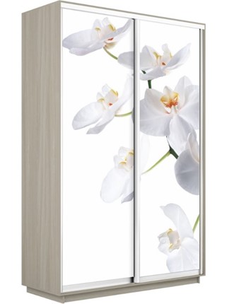 Шкаф 2-створчатый Экспресс 1600x600x2400, Орхидея белая/шимо светлый в Магадане - изображение