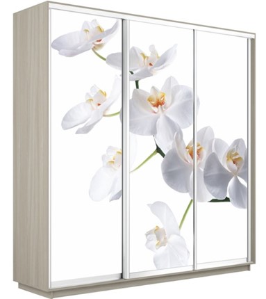 Шкаф Экспресс 1800х600х2200, Орхидея белая/шимо светлый в Магадане - изображение