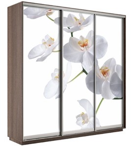 Шкаф 3-дверный Экспресс 2100х600х2200, Орхидея белая/шимо темный в Магадане