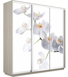 Шкаф 3-дверный Экспресс 2400х600х2200, Орхидея белая/шимо светлый в Магадане