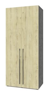 Двухдверный шкаф Modern С22, Камень темный/Ирландский дуб в Магадане