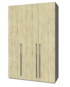 Шкаф двухдверный Modern С32, Камень темный/Ирландский дуб в Магадане