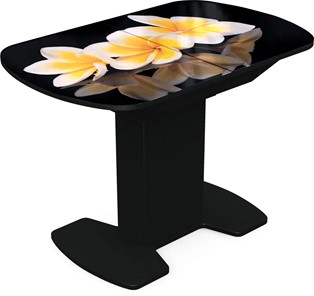 Кухонный раскладной стол Корсика исп. 1 Фотопечать (Цветы №11) 1100(1415)*700 в Магадане