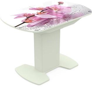 Кухонный раскладной стол Корсика исп. 1 Фотопечать (Цветы №55) 1100(1415)*700 в Магадане