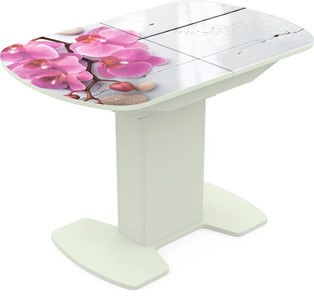 Кухонный раскладной стол Корсика исп. 2 Фотопечать (Цветы №24) 1200(1515)*800 в Магадане