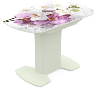 Кухонный раскладной стол Корсика исп. 2 Фотопечать (Цветы №44) 1200(1515)*800 в Магадане