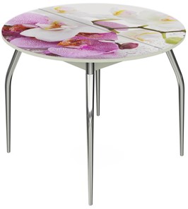 Обеденный раздвижной стол Ривьера - Круг, ноги метал. крашеные №24, ФП (Цветы №44) в Магадане