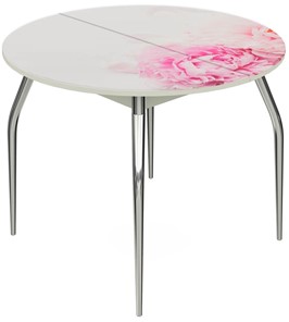 Обеденный раздвижной стол Ривьера - Круг, ноги метал. крашеные №24, ФП (Цветы №49) в Магадане