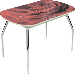 Обеденный раздвижной стол Ривьера исп.1 ноги метал. крашеные №24 Фотопечать (Цветы №39) в Магадане