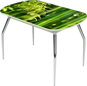 Кухонный раздвижной стол Ривьера исп.1 ноги метал. крашеные №24 Фотопечать (Текстура №23) в Магадане