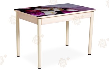Кухонный стол раскладной Айсберг-01 СТФ, дуб/фотопечать пионы/ноги крашеные в Магадане