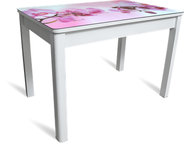 Кухонный стол раздвижной Айсберг-02 СТФ, белое лдсп/орхидея/40 прямые массив белые в Магадане