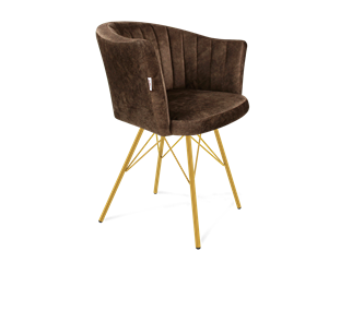 Обеденный стул SHT-ST42-1 / SHT-S37 (кофейный трюфель/золото) в Магадане