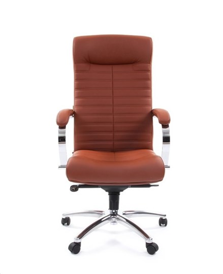 Компьютерное кресло CHAIRMAN 480 Экокожа Terra 111 (коричневая) в Магадане - изображение 1