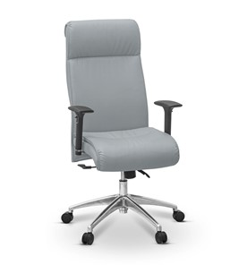 Кресло для руководителя Dark (подлокотники 3D) экокожа премиум / светло-серая CN1132 в Магадане