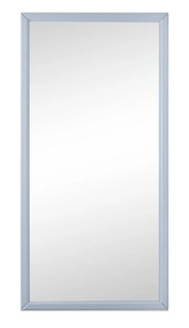 Настенное зеркало Мебелик Ника (Серый) 119,5 см x 60 см в Магадане