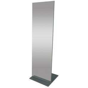 Зеркало напольное в полный рост Стелла (графит темный) 163,5 см x 50 см в Магадане