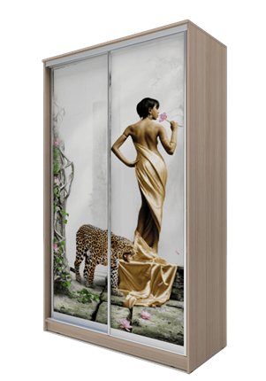 Шкаф 2400х1365х620, Девушка с леопардом ХИТ 24-14-77-03 Ясень Шимо Светлый в Магадане - изображение