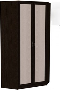 Шкаф 403 несимметричный, цвет Венге в Магадане - предосмотр
