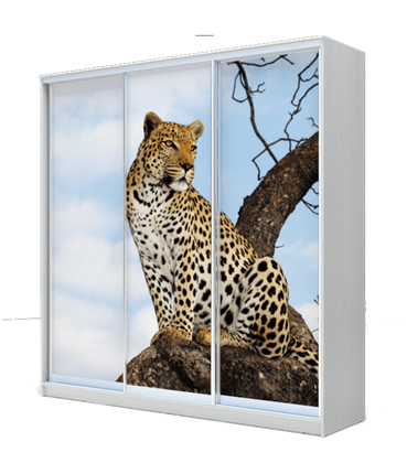 Шкаф 3-х дверный 2400х2000х620, наполнение №1, Леопард ХИТ 24-20-777-04 Белая шагрень в Магадане - изображение