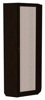 Шкаф 402 угловой со штангой, цвет Венге в Магадане - изображение
