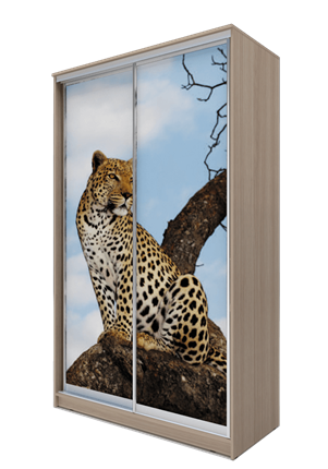 Шкаф 2300х1200х620, Леопард ХИТ 23-12-77-04 Ясень Шимо Светлый в Магадане - изображение