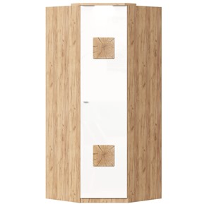 Шкаф угловой 45 с декоративной накладкой Фиджи, 659.248, белый в Магадане