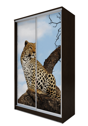 Шкаф 2400х1200х620, Леопард ХИТ 24-12-77-04 Венге Аруба в Магадане - изображение