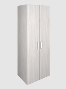 Шкаф для офиса для одежды 2-дверный арт.119.1, ЛДСП Ясень шимо светлый в Магадане