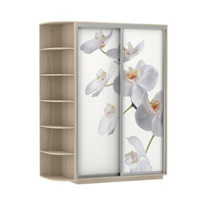 Шкаф 2-дверный Экспресс 1700x600x2200, со стеллажом, Орхидея белая/шимо светлый в Магадане