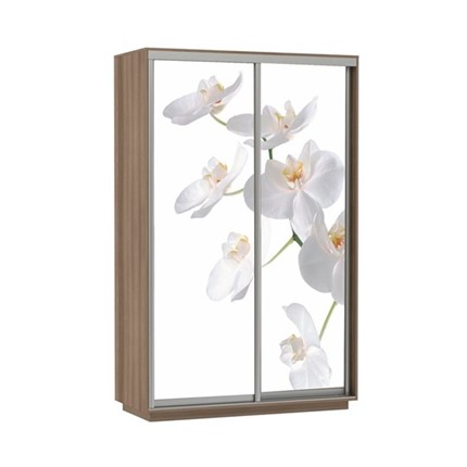 Шкаф двухдверный Экспресс 1400x600x2400, Орхидея белая/шимо темный в Магадане - изображение