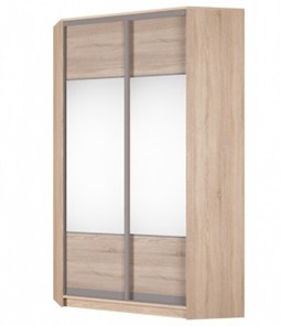 Угловой шкаф Аларти (YA-230х1250(602) (2) Вар. 4; двери D3+D3), с зеркалом в Магадане - предосмотр