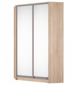 Шкаф угловой Аларти (YA-230х1250(602) (2) Вар. 3; двери D5+D5), с зеркалом в Магадане