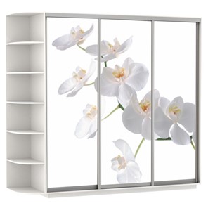Шкаф 3-х дверный Экспресс со стеллажом, 2400х600х2200, Орхидея белая/белый снег в Магадане