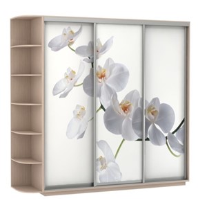 Шкаф Экспресс со стеллажом, 2700х600х2200, Орхидея белая/дуб молочный в Магадане