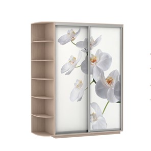 Шкаф 2-х створчатый Экспресс 1900x600x2200, со стеллажом, Орхидея белая/дуб молочный в Магадане - предосмотр