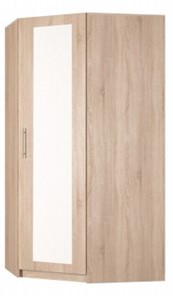 Угловой шкаф распашной Реал (YR-198х1034 (7)-М, Вар.4), с зеркалом в Магадане - предосмотр