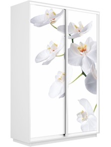 Шкаф Экспресс 1200x450x2200, Орхидея белая/белый снег в Магадане