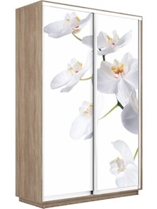 Шкаф 2-створчатый Экспресс 1200x450x2200, Орхидея белая/дуб сонома в Магадане - предосмотр
