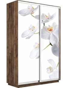 Шкаф Экспресс 1200x450x2200, Орхидея белая/дуб табачный в Магадане - предосмотр