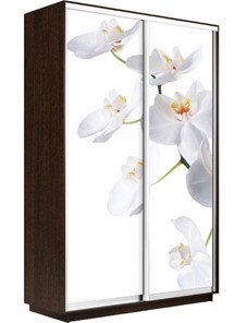 Шкаф Экспресс 1200x450x2400, Орхидея белая/венге в Магадане